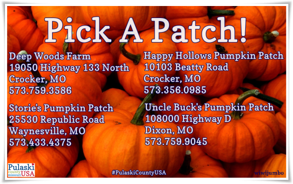 Pulaski County USA has the perfect pumpkin patch for you & your family! 